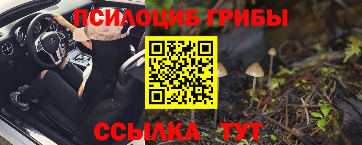 Псилоцибиновые грибы Psilocybine cubensis Кувандык